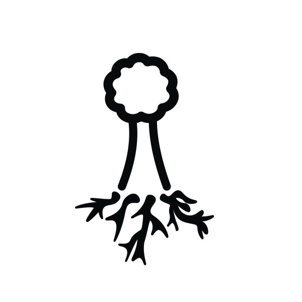Kleiner Apfelbaum